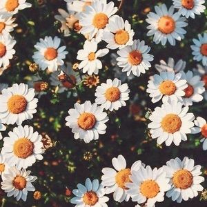 Hello! Welcome to my closet.